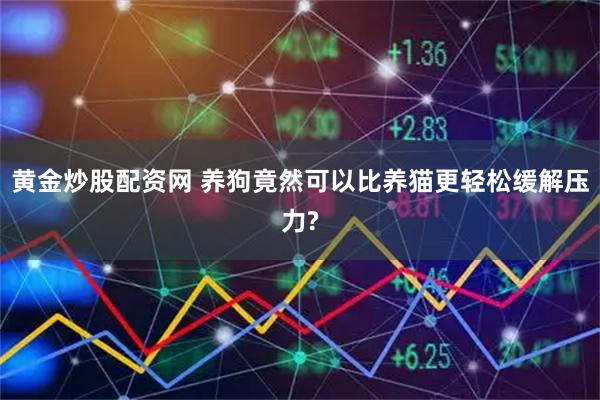 黄金炒股配资网 养狗竟然可以比养猫更轻松缓解压力?
