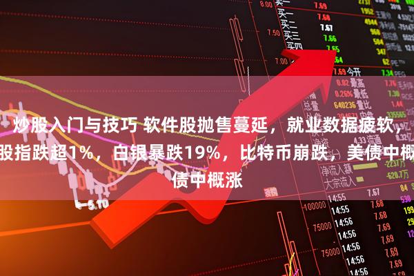 炒股入门与技巧 软件股抛售蔓延，就业数据疲软，美股指跌超1%，白银暴跌19%，比特币崩跌，美债中概涨