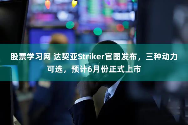 股票学习网 达契亚Striker官图发布，三种动力可选，预计6月份正式上市